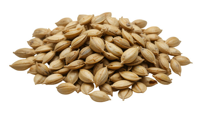 Pile of Job's Tears seeds, also known as adlay or adlai, a gluten-free grain alternative isolated on transparent background