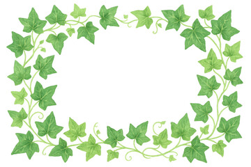 Fototapeta premium Watercolor ivy border framing delicate botanical elements, providing elegant green decorative edge against transparent backdrop