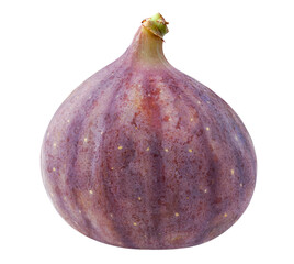 One raw fig fruit cut out