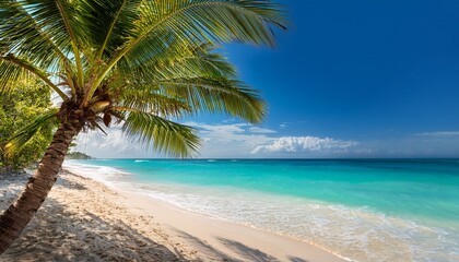 turquoise ocean meets golden sand under palm trees in tropical beach scene