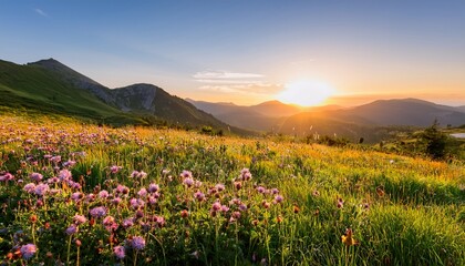 warm sunset casting golden light over vibrant wildflowers in lush green meadow with soft shadows and serene mountain backdrop creating tranquil and picturesque scene