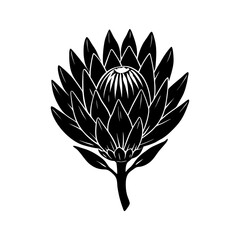 protea with unique textures vector art