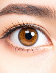 Close-Up of Young Woman&rsquo;s Eye with Natural Makeup
