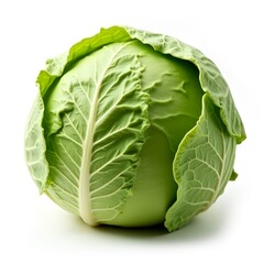 Fototapeta premium Fresh Head of Cabbage Isolated on White Background – Crisp Green Organic Vegetable Image