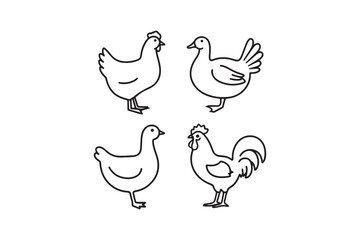Simple line art illustrations of chickens and a rooster