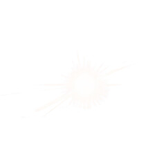 Obraz premium dandelion, flower, nature, white, plant, macro, isolated, fly, black, seed, fishing, feather, abstract, green, summer, close-up, light, spring, blue, insect, yellow, blossom, fluffy, wind, lure