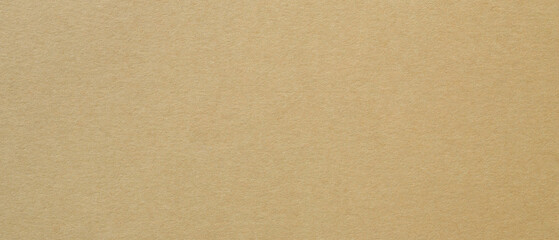 Beige Paper Texture with Fibrous Pattern for Minimal Background