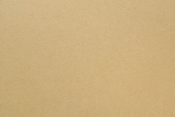 Beige Paper Texture with Fibrous Pattern for Minimal Background