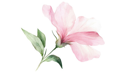Pink flower created with delicate watercolor strokes, featuring soft translucent petals and subtle green leaves in a minimal artistic style, isolated on white background for elegant design use
