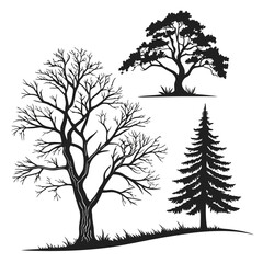 silhouettes of trees