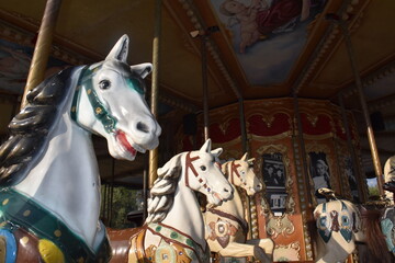 carousel horse in the park