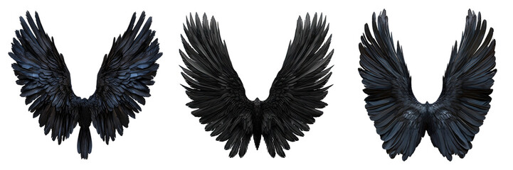 Obraz premium Set of black wings isolated on transparent background
