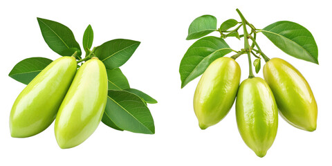 Set of bilimbi fruit with leaves isolated on transparent background