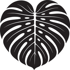 Isolated black and white monstera leaf with fenestrations on a plain white background vector illustration
