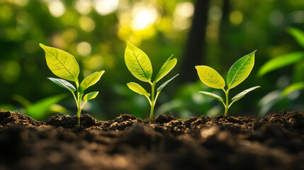 Sustainable growth balances economic progress and environmental care.