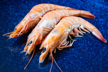 Close-up of Three Cooked Prawns on a Blue Plate
