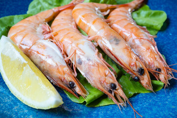 Close-up Four Cooked Prawns on a Bed of Lettuce on a Blue Plate Served with a Wedge of Lemon
