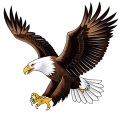 Obraz premium Flying Bald Eagle Vector Illustration – Bird of Prey with Spread Wings