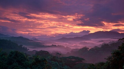 A beautiful sunrise over the dense jungle canopy, with misty clouds and a purple sky. 