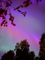 Night sky illuminated by vibrant auroras, with colorful hues of purple and green, framed by...