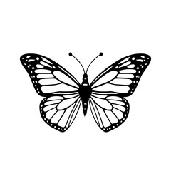 Monarch Butterfly Silhouette: A striking monochrome line art illustration depicts a monarch butterfly with detailed wing patterns and delicate antennae.