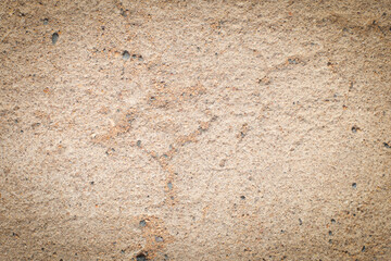 abstract background, sand, metal, stones, textures, wood, plants background
