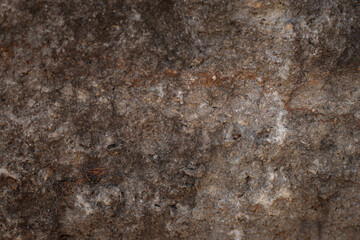 abstract background, sand, metal, stones, textures, wood, plants background