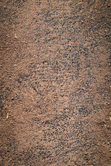 abstract background, sand, metal, stones, textures, wood, plants background