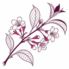 abstract floral background with weigela