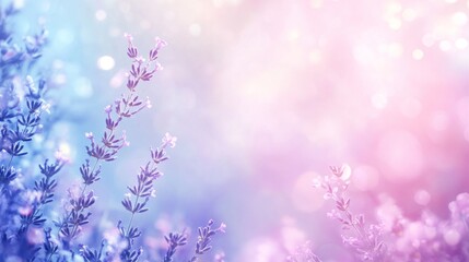 Lavender flowers in pastel light