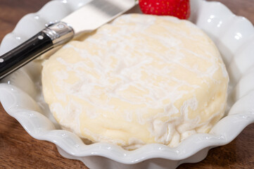 French cheeses collection, Saint-Felicien cow's milk cheese with white mold from Rhone-Alpes region of France
