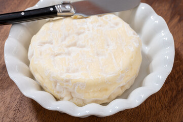 French cheeses collection, Saint-Felicien cow's milk cheese with white mold from Rhone-Alpes region of France