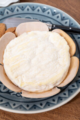 French cheeses collection, Saint-Felicien cow's milk cheese with white mold from Rhone-Alpes region of France