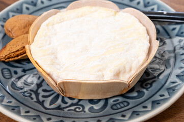 French cheeses collection, Saint-Felicien cow's milk cheese with white mold from Rhone-Alpes region of France