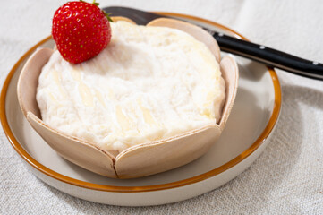 French cheeses collection, Saint-Felicien cow's milk cheese with white mold from Rhone-Alpes region of France