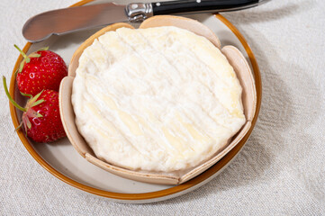 French cheeses collection, Saint-Felicien cow's milk cheese with white mold from Rhone-Alpes region of France