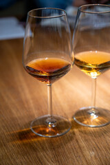 Visit of wine cellar with old large oak barrels, tasting of fortified dry or sweet tasty marsala wine in Marsala, Sicily, Italy