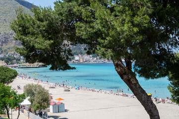 Fototapety na wymiar - Fototapeta24.pl