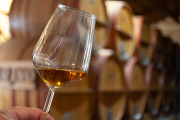 Visit of wine cellar with old large oak barrels, hand holding glass of fortified dry or sweet tasty marsala wine from barrels in Marsala, Sicily, Italy