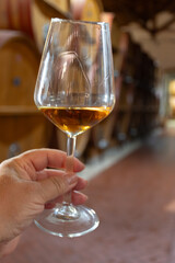 Visit of wine cellar with old large oak barrels, hand holding glass of fortified dry or sweet tasty marsala wine from barrels in Marsala, Sicily, Italy