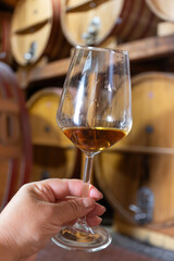 Visit of wine cellar with old large oak barrels, hand holding glass of fortified dry or sweet tasty marsala wine from barrels in Marsala, Sicily, Italy