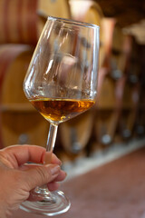 Visit of wine cellar with old large oak barrels, hand holding glass of fortified dry or sweet tasty marsala wine from barrels in Marsala, Sicily, Italy