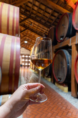 Visit of wine cellar with old large oak barrels, glass of fortified dry or sweet tasty marsala wine from barrels in Marsala, Sicily, Italy