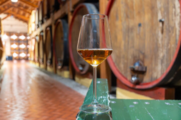 Visit of wine cellar with old large oak barrels, glass of fortified dry or sweet tasty marsala wine from barrels in Marsala, Sicily, Italy