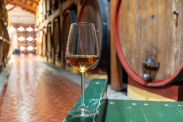 Visit of wine cellar with old large oak barrels, glass of fortified dry or sweet tasty marsala wine from barrels in Marsala, Sicily, Italy