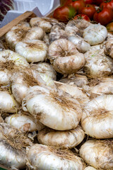 New harvest of white Sicilian onion vegetable on market in Palermo, Sicily, close up