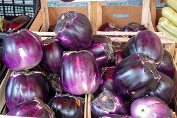 Fresh ripe purple globe Violetta eggplants vegetables from Sicily on farmers market in Palermo, healthy Italian food