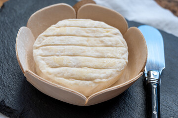 French dauphinois cheeses collection, Saint-Marcellin, creamy Saint- Felicien cow's milk cheese with white mold from Rhône-Alpes region of France