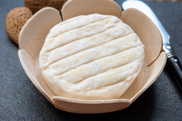 French dauphinois cheeses collection, Saint-Marcellin, creamy Saint- Felicien cow's milk cheese with white mold from Rhône-Alpes region of France