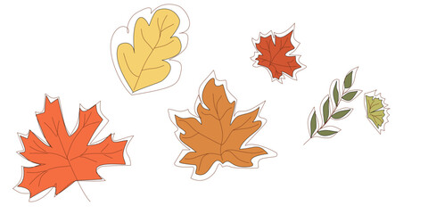 set of autumn leaves